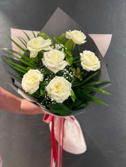 White 1/2 Dozen