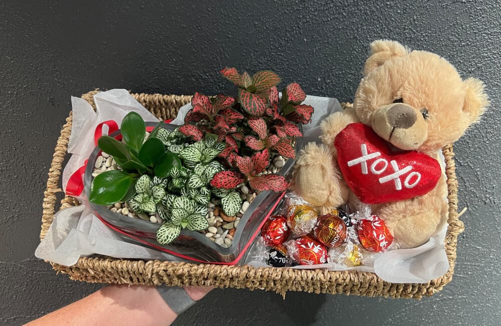 Plant Love